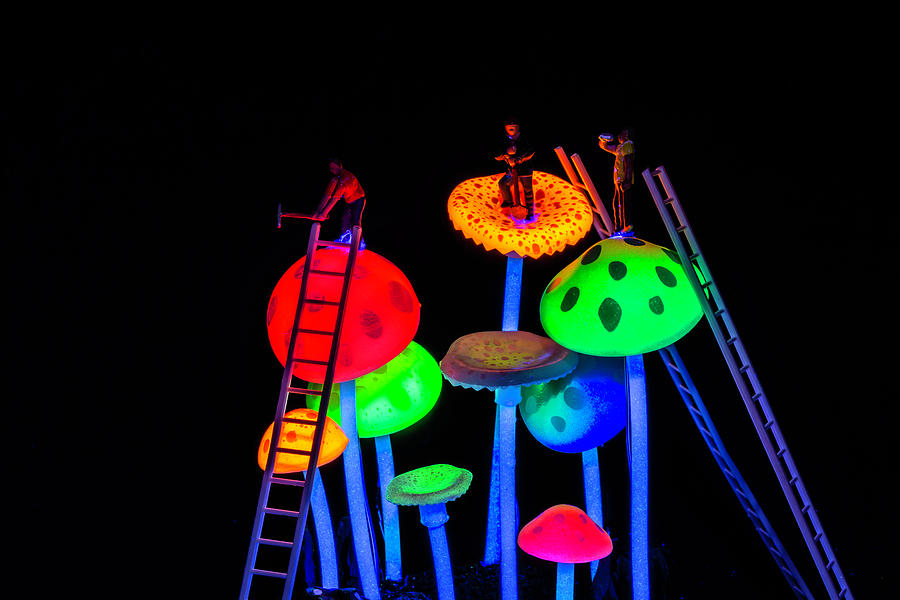 Fantasy Photograph - Neon Mushroom Miners 2 by Steve Purnell
