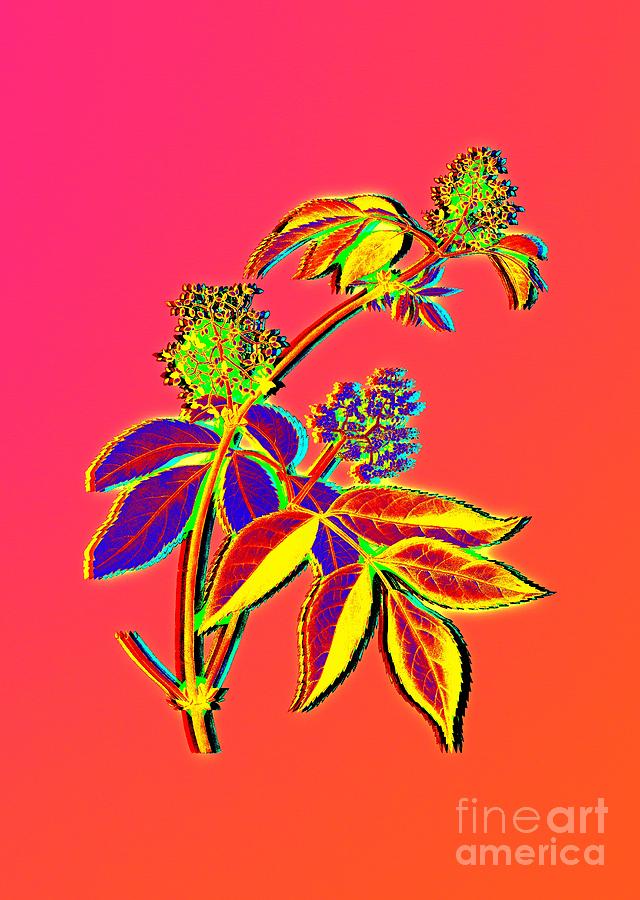 Neon Pink Red Elderberry Botanical Art n.0312 Painting by Holy Rock Design