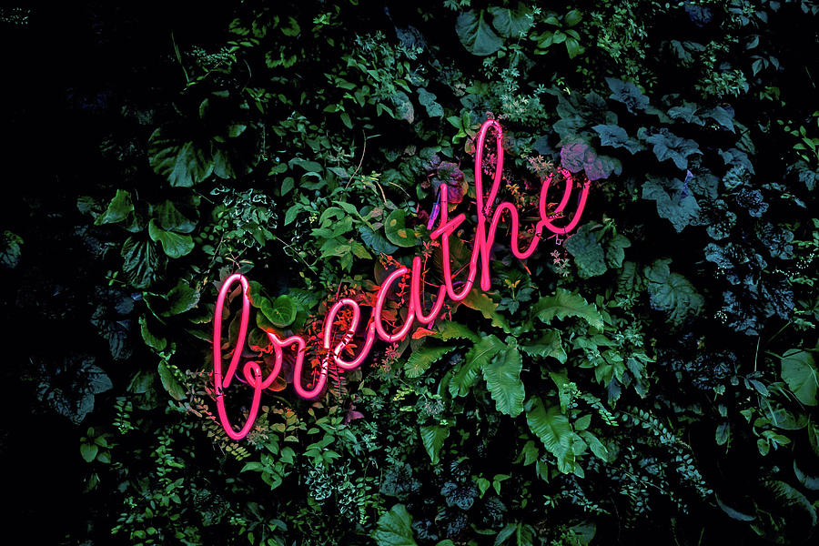 Neon Sign Breathe Photograph by Running Brook Galleries | Fine Art America