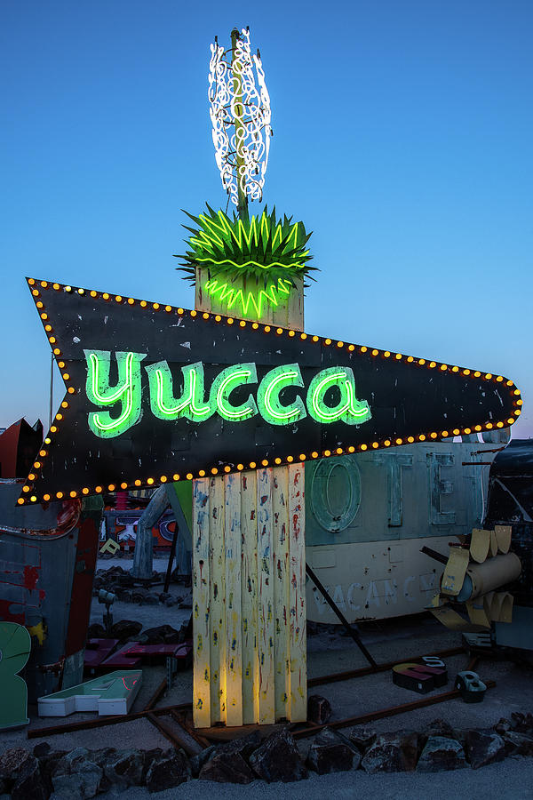 Neon Yucca Photograph by Bryan Xavier