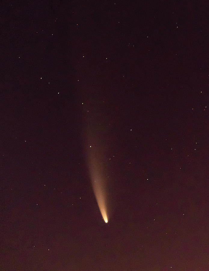 Neowise Comet 7-12 KC4 Photograph by Steve Ferro