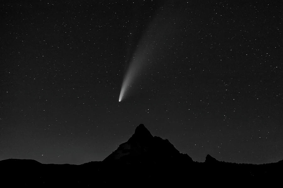 NEOWISE in Black and White Photograph by Cat Connor