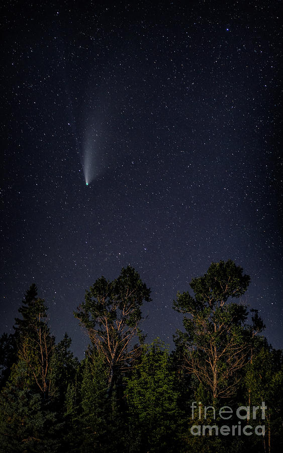 Neowise Stars Comet Print Photograph by Terry Hrynyk