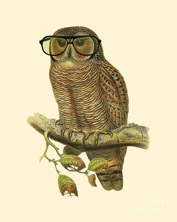 Owl Digital Art - Nerdy Owl by Madame Memento