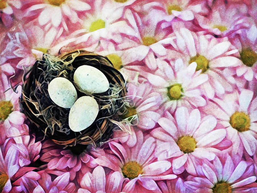 Egg Painting - Nested On Daisies by Ashley Aldridge