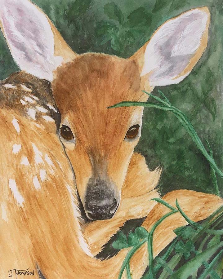 Deer Painting - Nestled in the Grass by Judy Thompson