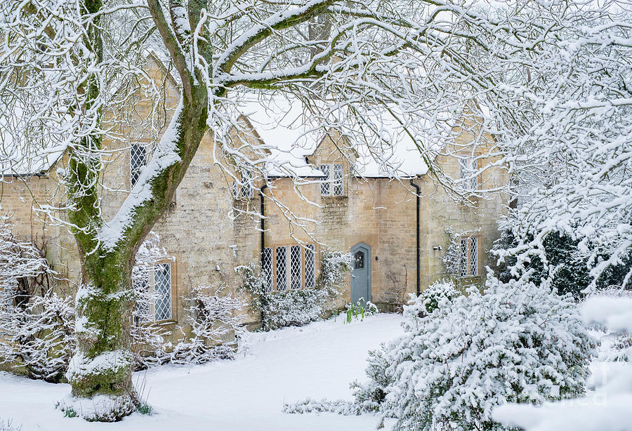Winter Photograph - Nestled in the Snow by Tim Gainey