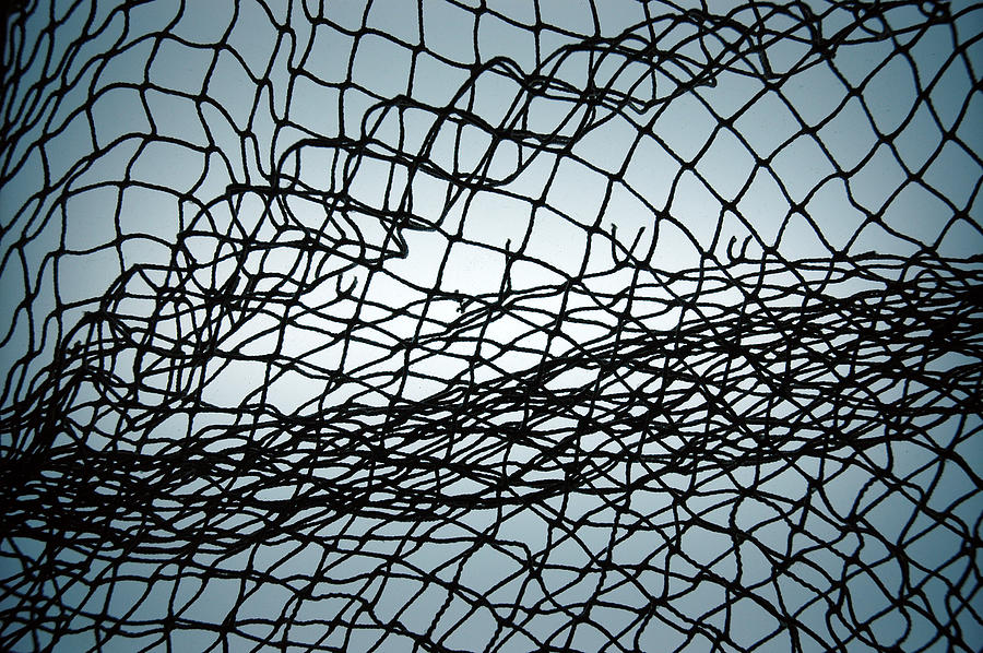 Net in Blue Photograph by DJClaassen