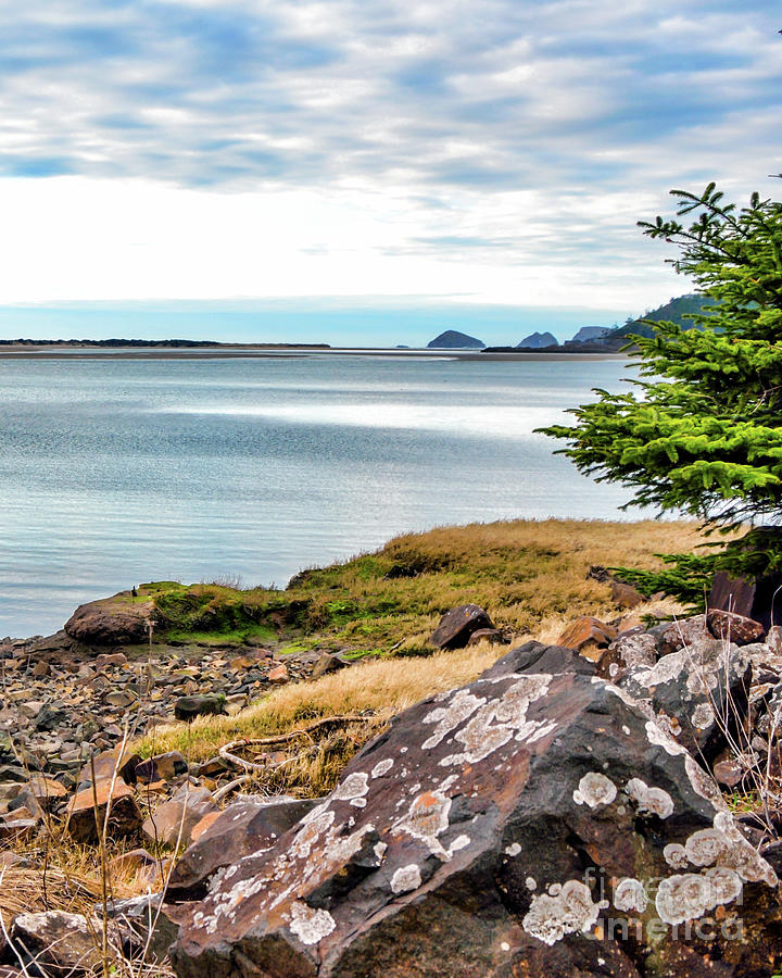 Netarts Bay Shore Photograph by Jack Andreasen - Fine Art America