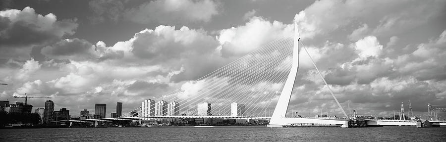 Netherlands, Holland, Rotterdam, Erasmus Bridge Photograph by Panoramic Images