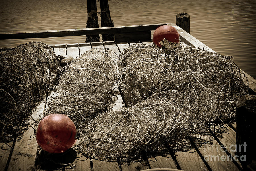 Nets And Balls Photograph by Kirt Tisdale