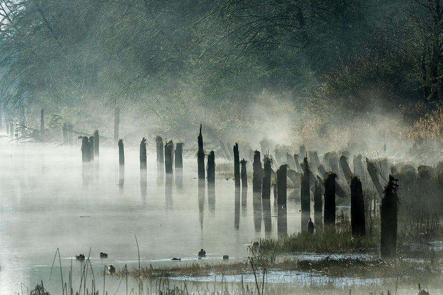 Netul River Morning Photograph by Robert Potts