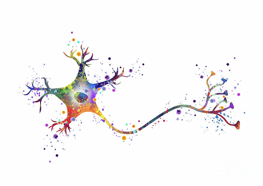 Neurons Digital Art - Neuron Art Nerve Cell Colorful Watercolor Gift Neurology Art Science Art Biology Gift by White Lotus