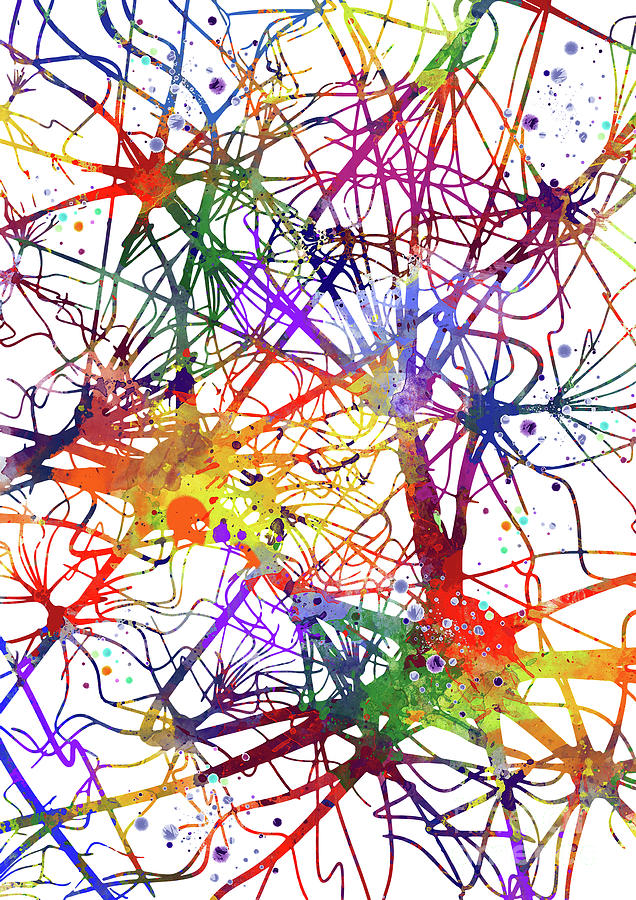 Neurons Art Brain Neurology Neuron Cell Medical Anatomy Art Watercolor Artwork Biology Gifts  Digital Art by White Lotus