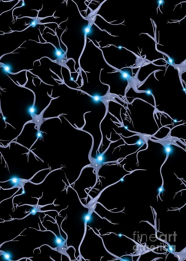 Neurons Digital Art by Bruce Rolff