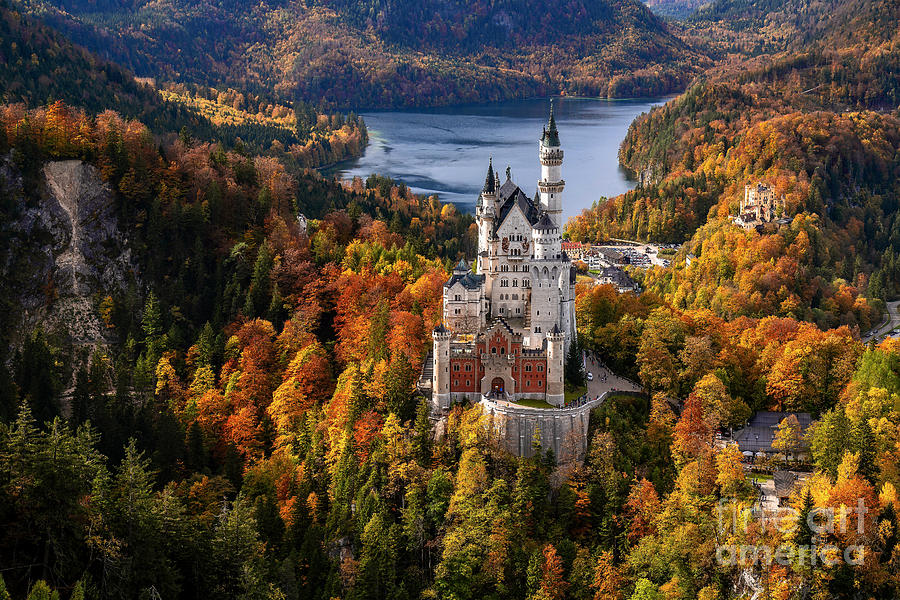 Neuschwanstein Castle In Bavaria In Autumn Landscape Photo Photograph