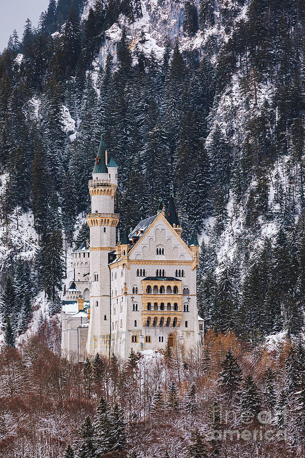 Neuschwanstein Castle in Winter 2 Photograph by Henk Meijer Photography
