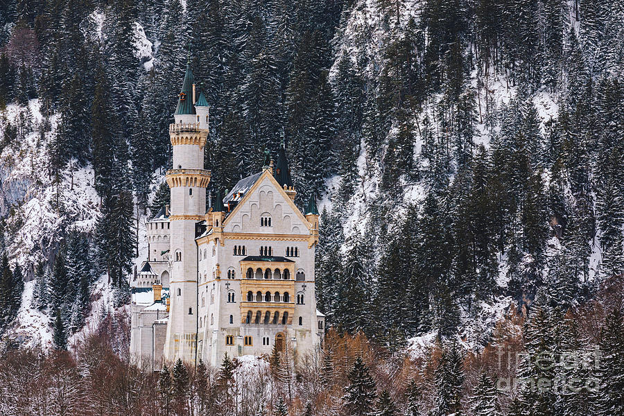 Neuschwanstein Castle In Winter 3 Photograph