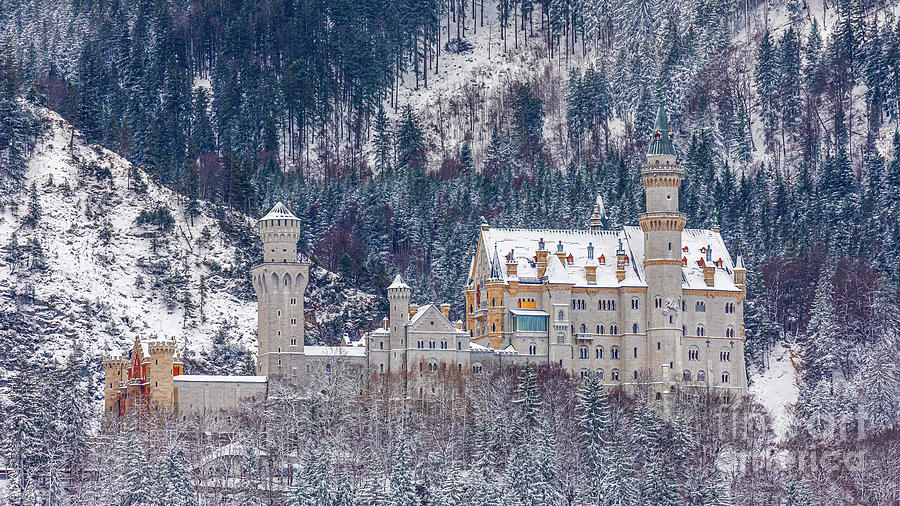 Neuschwanstein Castle in Winter Photograph by Henk Meijer Photography