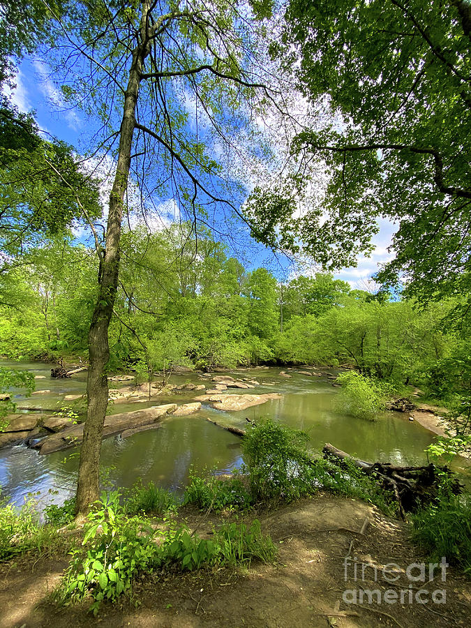 Neuse River Trail - Raleigh North Carolina Photograph by Kerri Farley