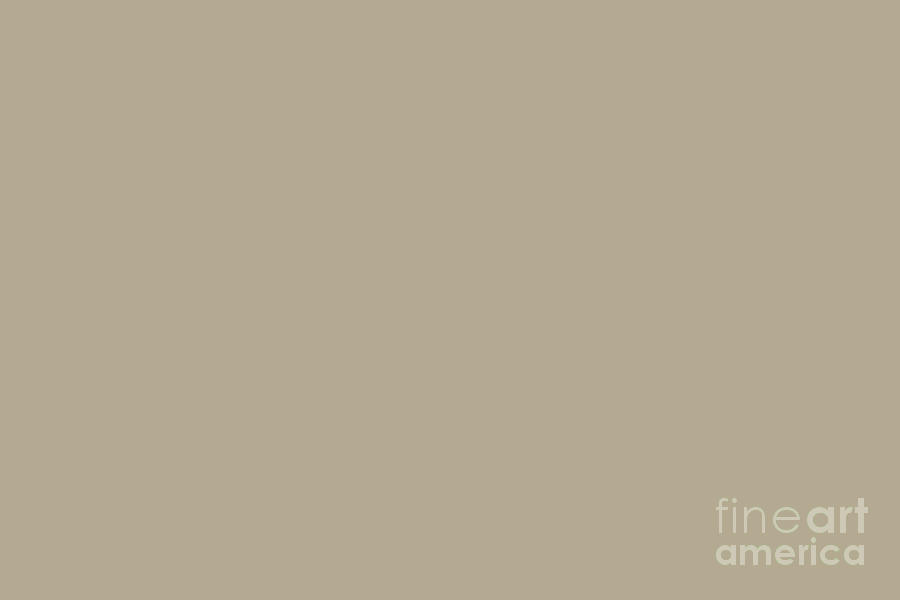 Neutral Beige Taupe Tan Solid Color Pairs To Sherwin Williams Universal Khaki SW 6150 Digital Art by PIPA Fine Art - Simply Solid