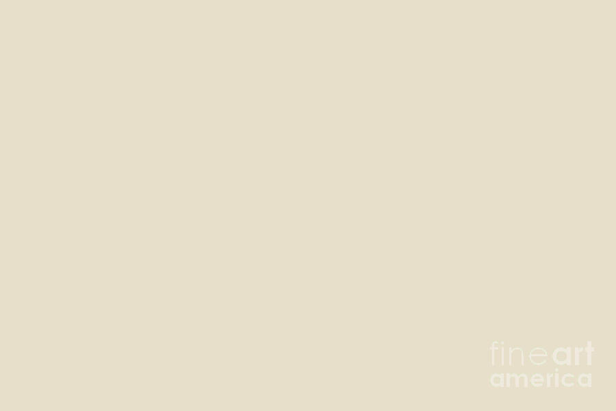 Neutral Buff Beige Solid Color Hue Shade - Patternless Digital Art by ...