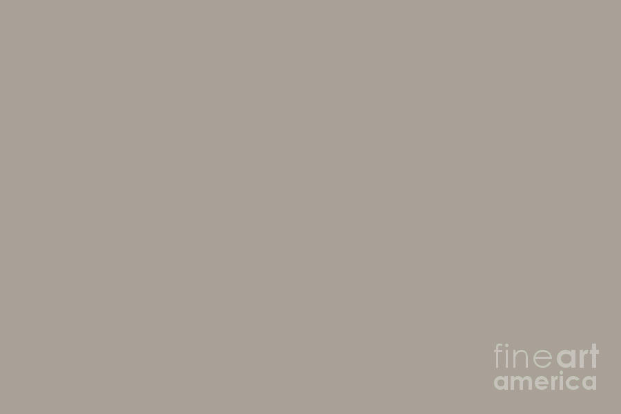 Neutral Grayed Taupe Solid Color Pairs Popular Hue HGTV Perfect Greige HGSW2475 Digital Art by Simply Solids