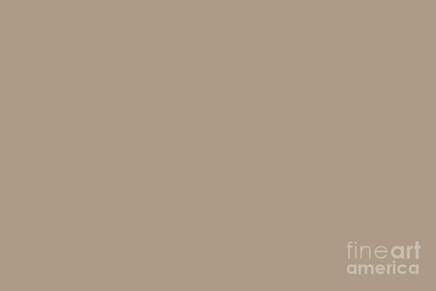 Neutral Mid-tone Beige Solid Color Pairs PPG Weathered Wood PPG1077-4 - 2023 Trending Color Digital Art by PIPA Fine Art - Simply Solid Art Minimal Graphic Designs