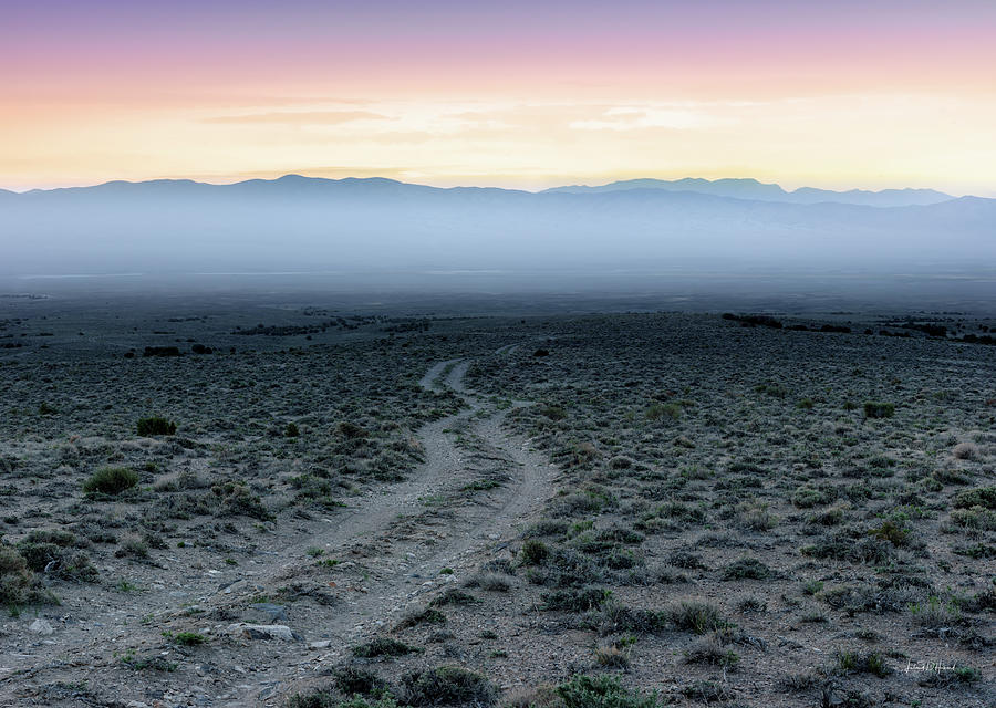 Nevada Desert Road Photograph by Leland D Howard