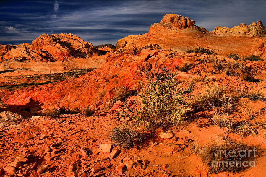 Nevada Rainbow Landscape Photograph by Adam Jewell