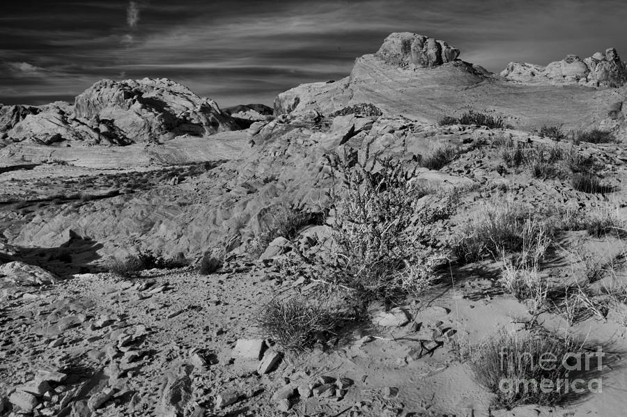 Nevada Rainbow Landscape Black And White Photograph by Adam Jewell