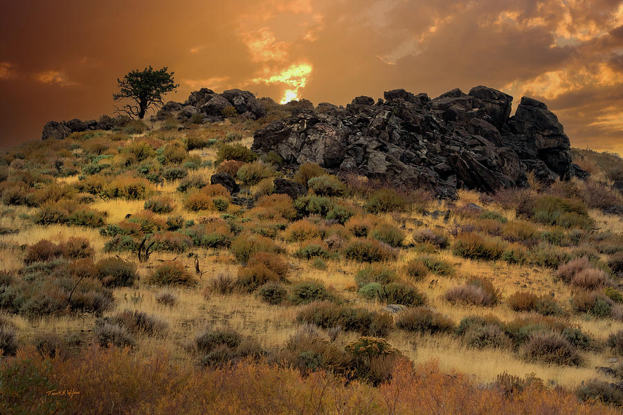 Nevada Sunrise Photograph by Frank Wilson
