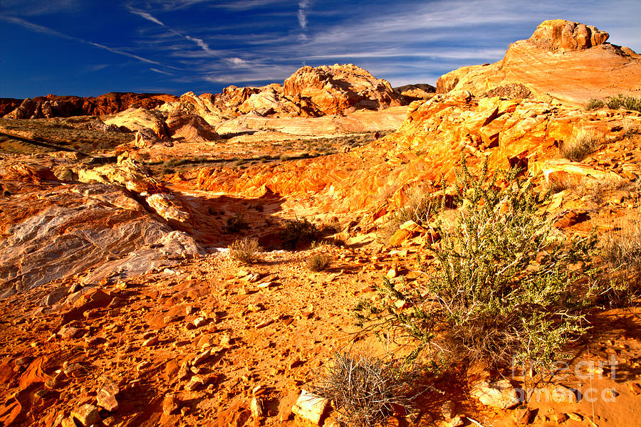 Nevada Yellow Rock Morning Photograph by Adam Jewell