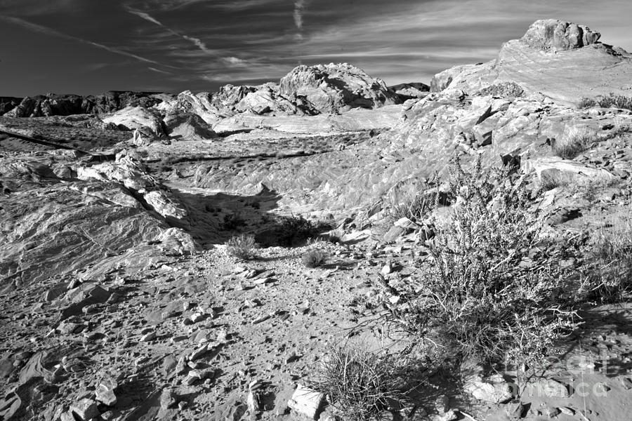 Nature Photograph - Nevada Yellow Rock Morning Black And White by Adam Jewell