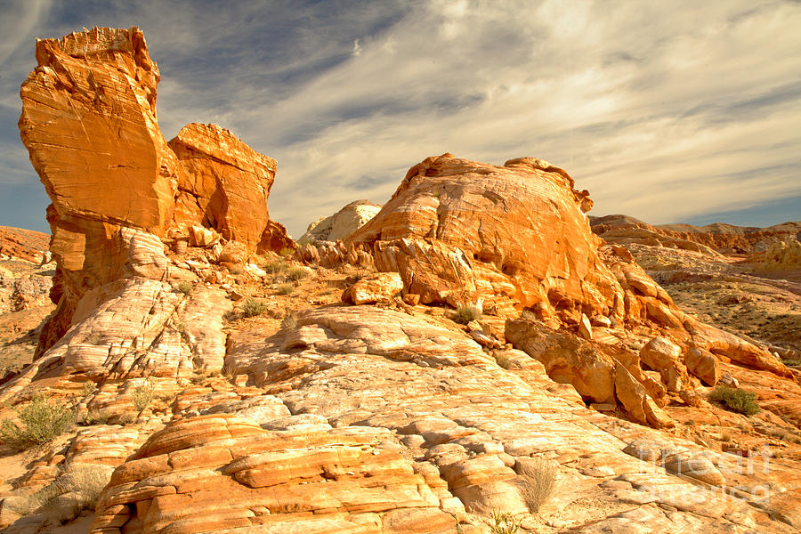 Nevada Yellow  Sandstone Tower Photograph by Adam Jewell