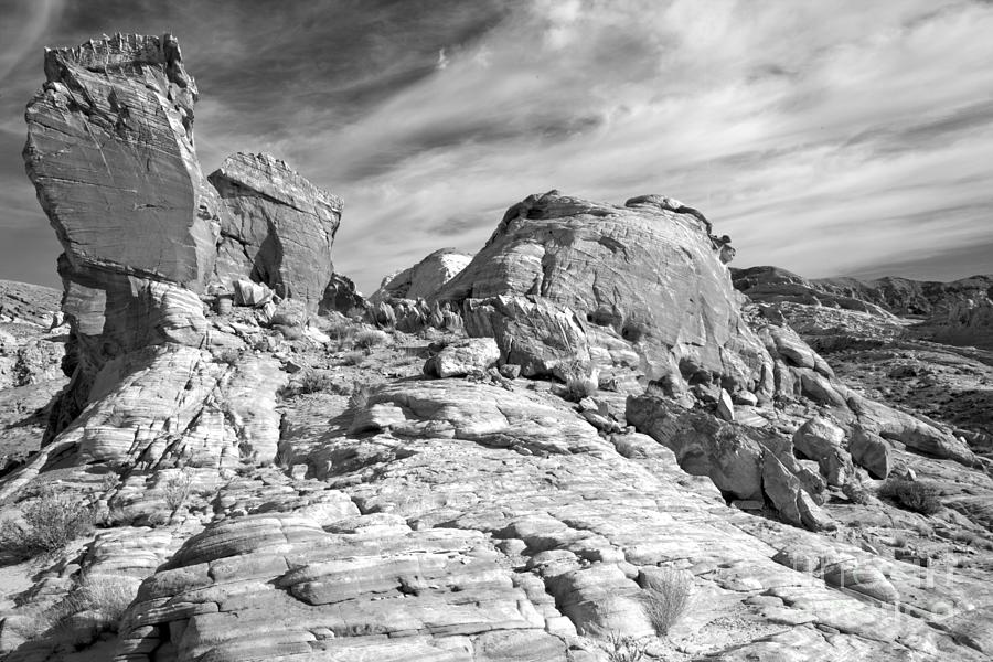 Nevada Yellow Sandstone Tower Black And White Photograph by Adam Jewell