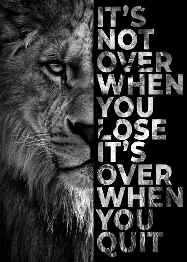 Never give up Lion Poster Painting by Eva Samuel | Fine Art America