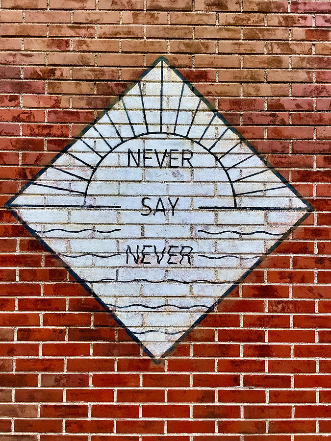 Never Say Never Photograph by Lisa Soots