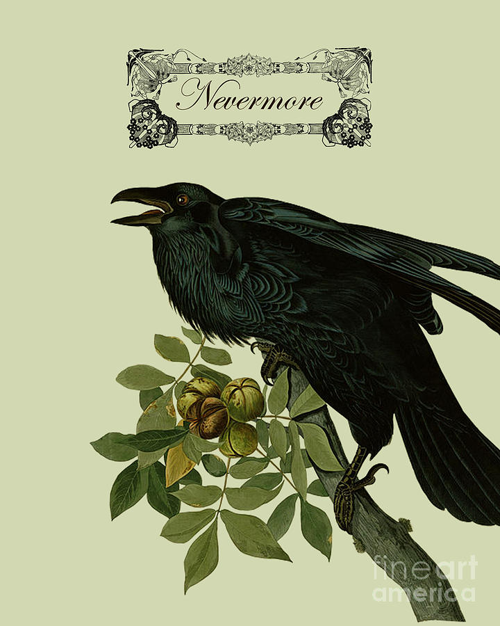 Raven Digital Art - Nevermore art by Madame Memento