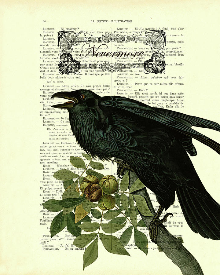 Raven Digital Art - Nevermore raven, Edgar Allan Poe art by Madame Memento