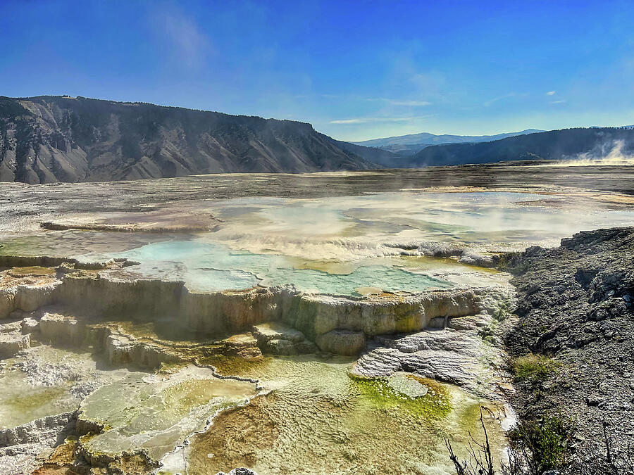 New Blue Spring At Mammoth Hot Springs Photograph