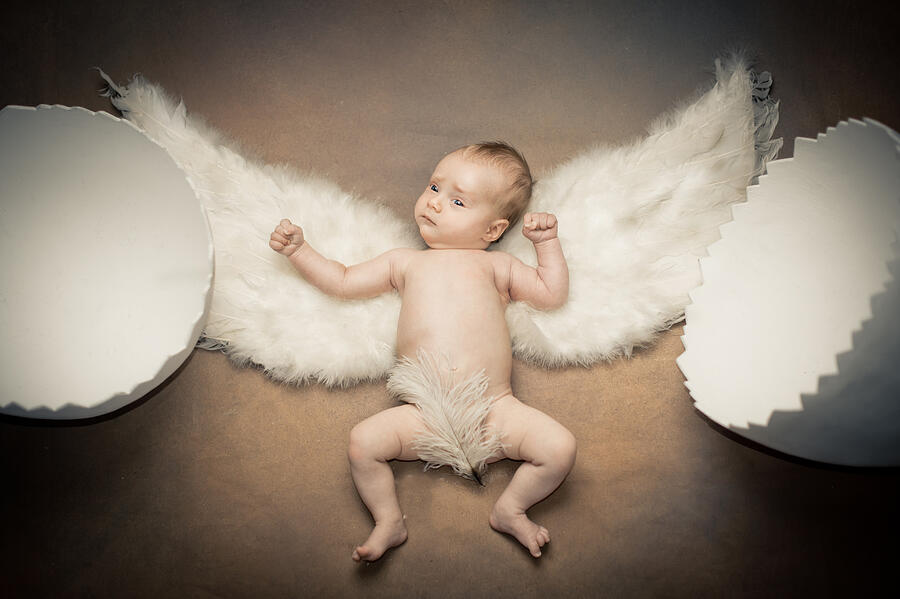 New born with white wings between shells Photograph by Photographer Irina Sidorenko