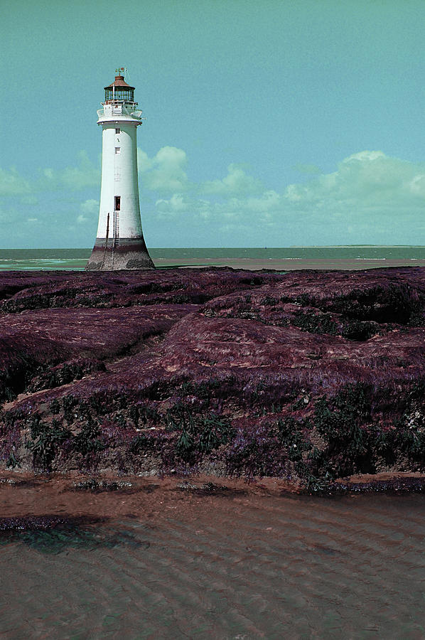 New Brighton Lighthouse And Seaweed - Surreal Art By Ahmet Asar Digital Art