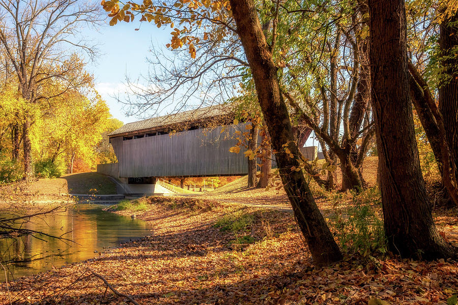 New Brownsville Covered Bridge - Columbus, IN Photograph by Susan Rissi Tregoning