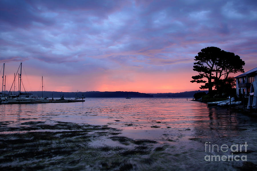 New Day at Mylor Photograph by Terri Waters