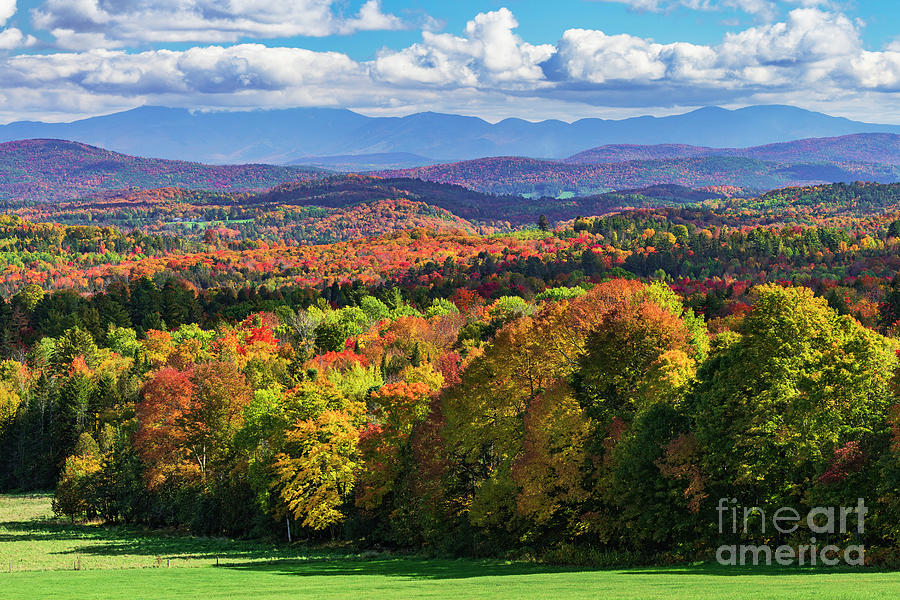 New England Autumn Photograph by Alan L Graham