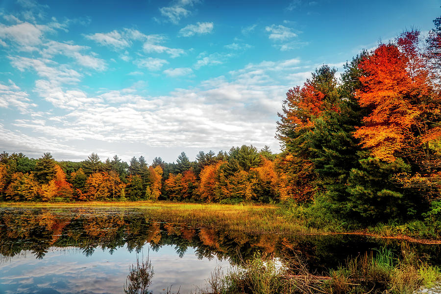 New England autumn landscape Photograph by Lilia S