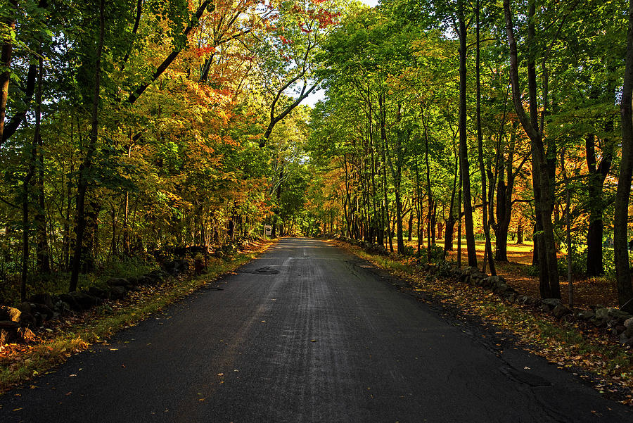New England Autumn Road Hamilton Massachusetts Photograph by Toby McGuire