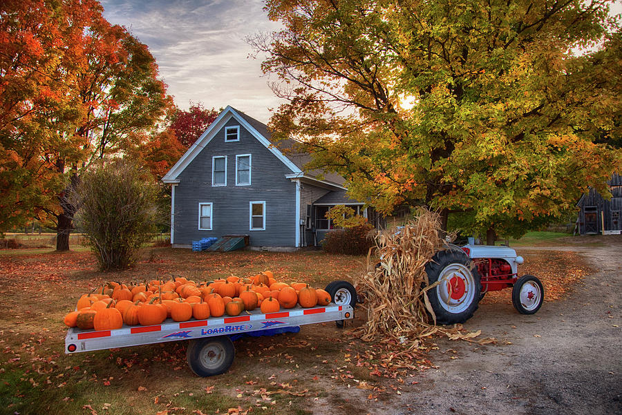 New England Autumn Scenes Photograph by Joann Vitali