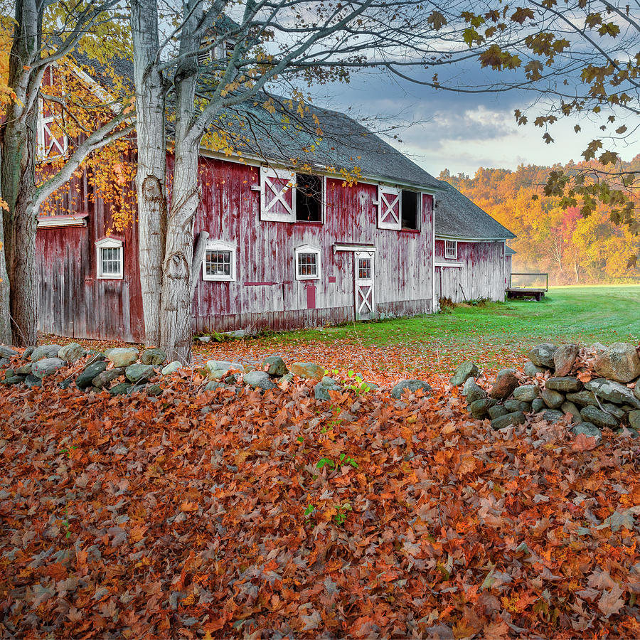 New England Barn 2016 Square Photograph by Bill Wakeley